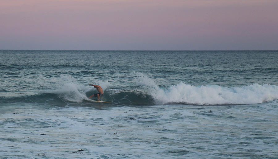 James Hession, Layback 2.0, Yr 12, Waverley College