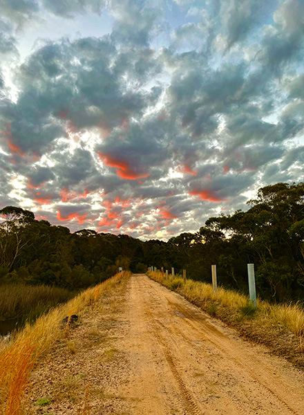 Lucas Wang, Into the Bush, Yr 10, Sydney Boys High School